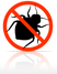 Pest Control Service